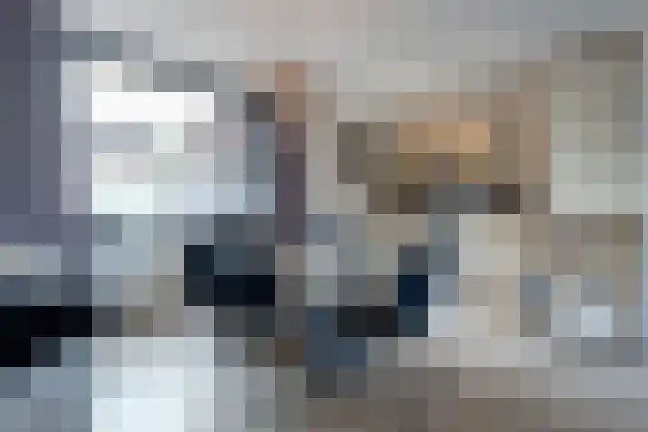 Duivenvoorde 32 Steenbergen thumbnail 6