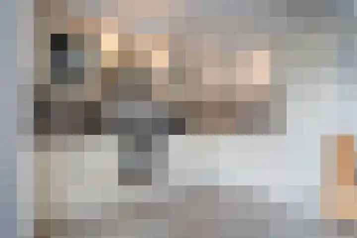 Duivenvoorde 32 Steenbergen thumbnail 9
