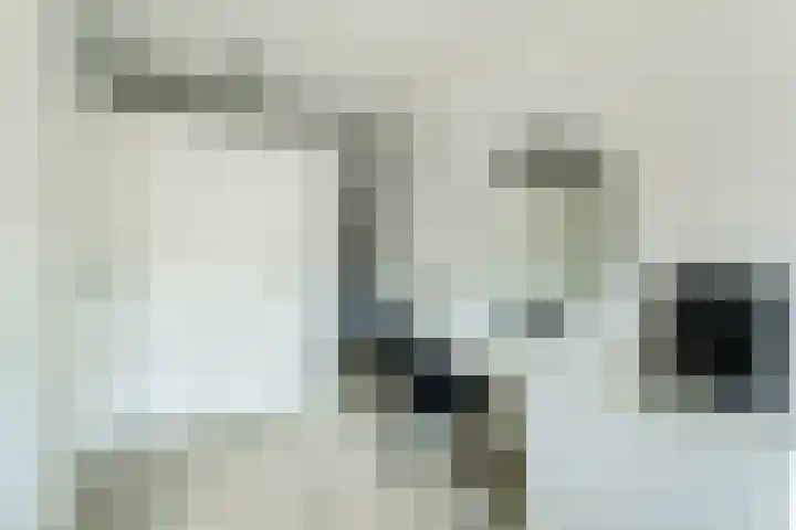 Duivenvoorde 40 Amstelveen thumbnail 20