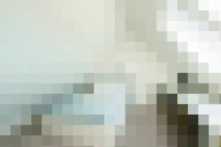 Duivenvoorde 40 Amstelveen thumbnail 22