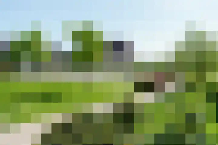 Duivenvoorde 40 Amstelveen thumbnail 23
