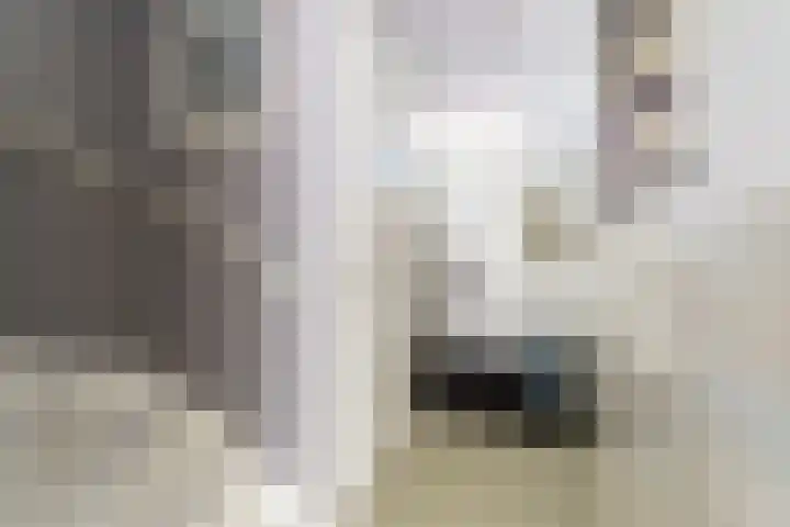 Duivenvoorde 40 Amstelveen thumbnail 4
