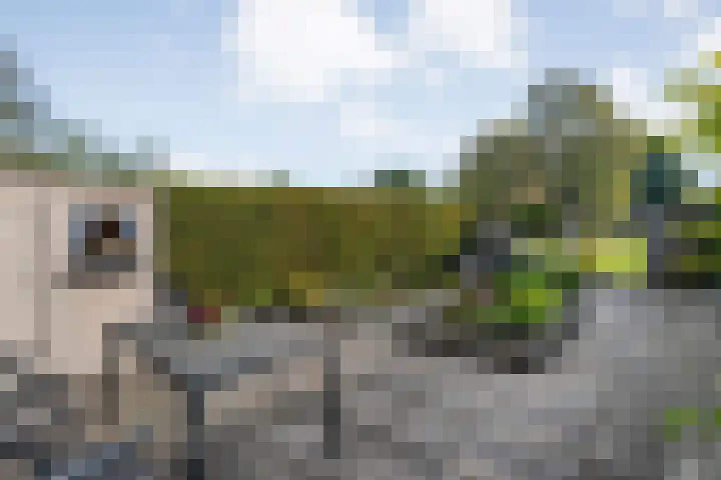 Duivenvoorde 47 Almelo thumbnail 40