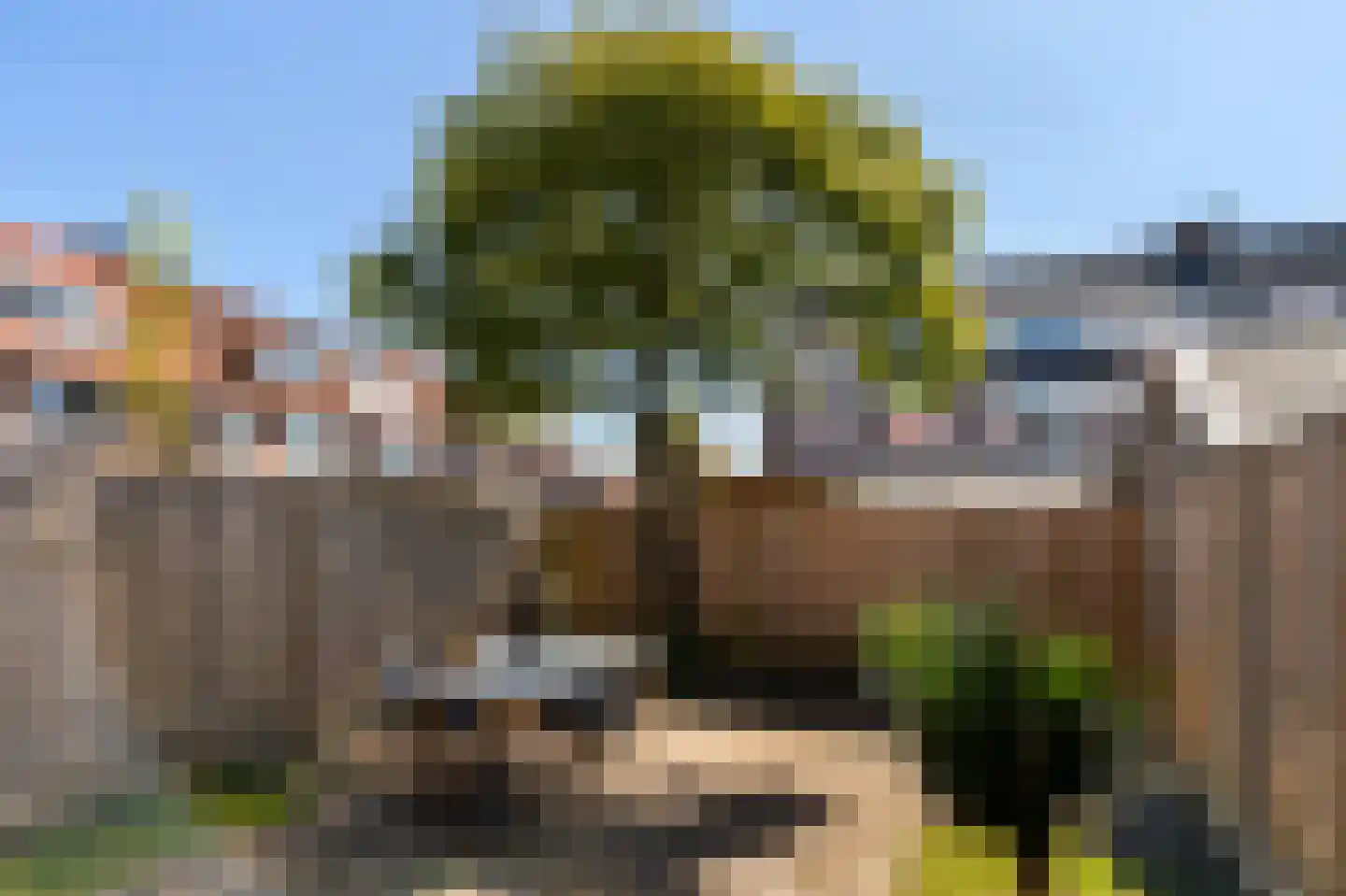 Duivenvoorde 7 Huizen thumbnail 22