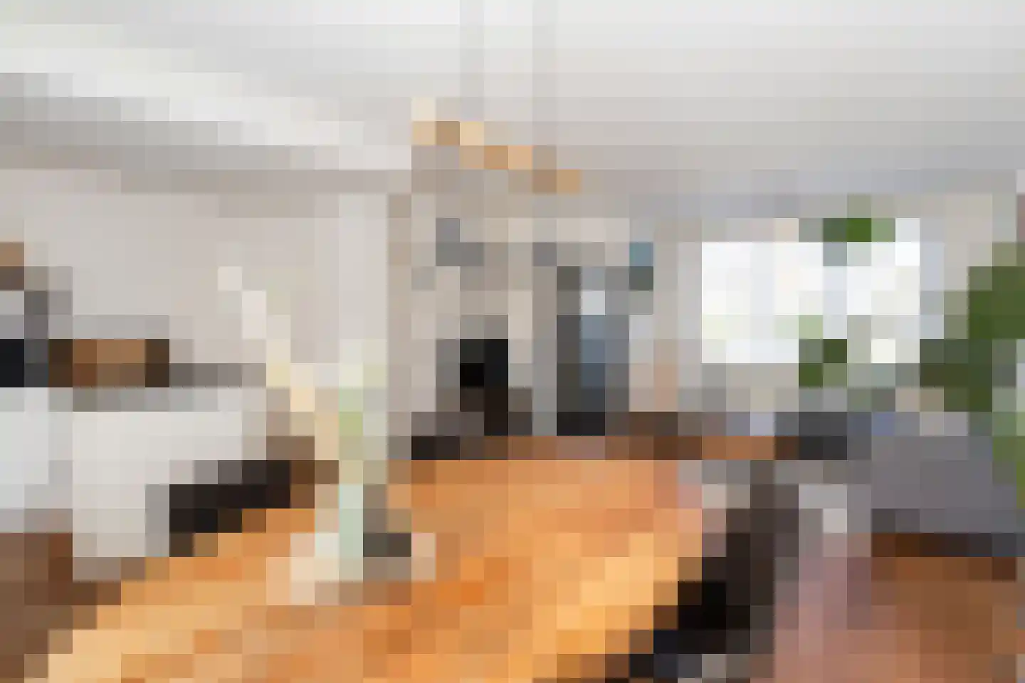 Duivenvoorde 7 Huizen thumbnail 9