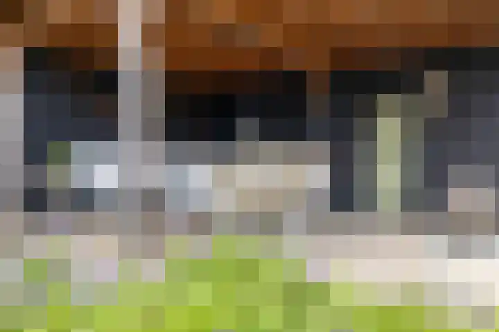 Duivenvoorde 75 Almelo thumbnail 28