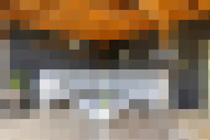 Duivenvoorde 75 Almelo thumbnail 29
