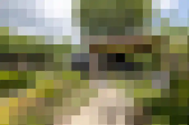 Duivenvoorde 75 Almelo thumbnail 31