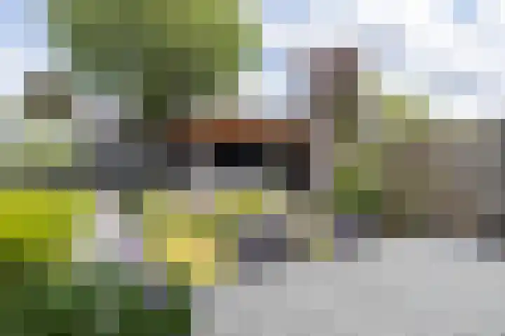 Duivenvoorde 75 Almelo thumbnail 32