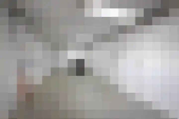 Duivenvoorde 75 Almelo thumbnail 33