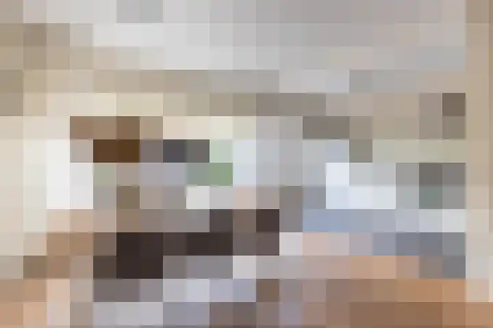 Duivenvoorde 75 Almelo thumbnail 9