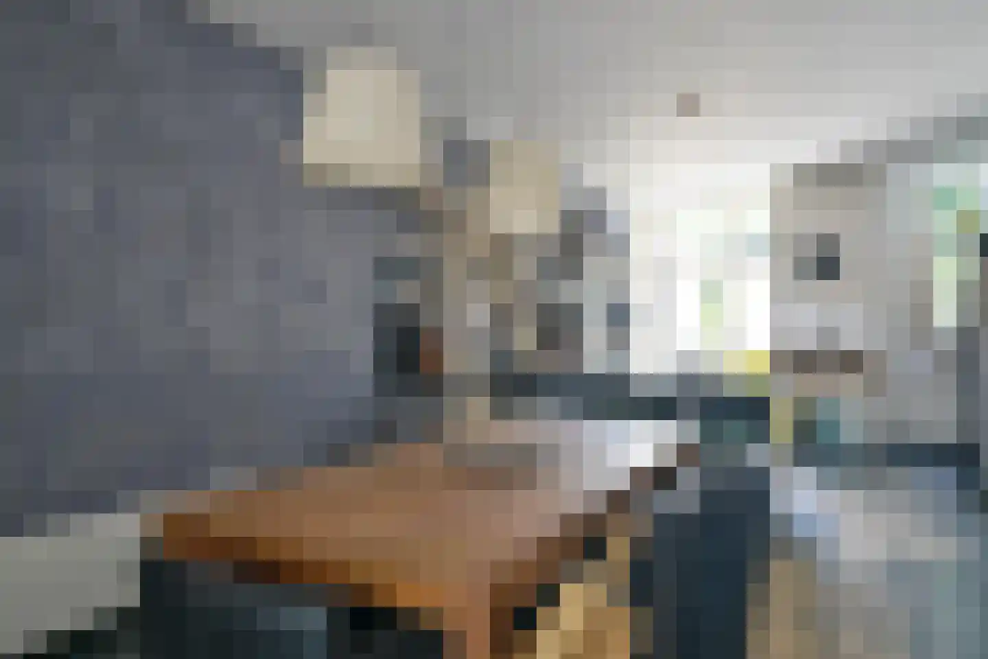 Duivenvoordestraat 138 Rotterdam thumbnail 7