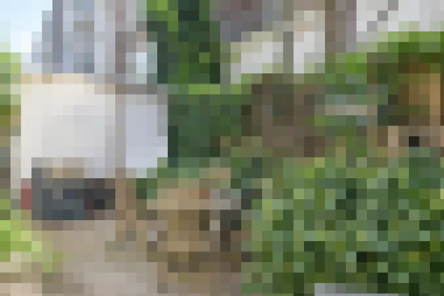 Duivenvoordestraat 138 Rotterdam thumbnail 9