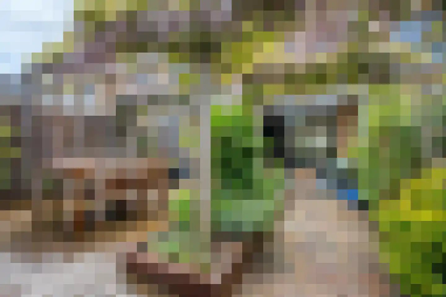 Duivenvoordestraat 9 Oegstgeest thumbnail 4