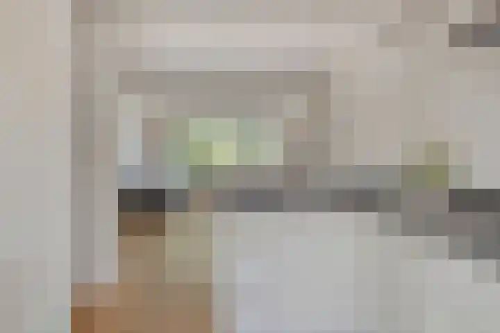 Duivenwaardsedijk 7 Nieuwe-Tonge thumbnail 10