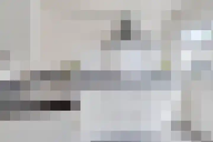 Duivenwaardsedijk 7 Nieuwe-Tonge thumbnail 12