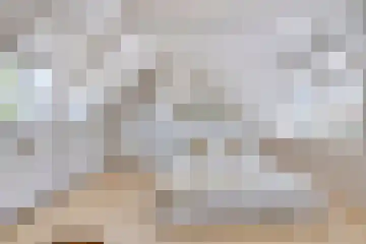 Duivenwaardsedijk 7 Nieuwe-Tonge thumbnail 15