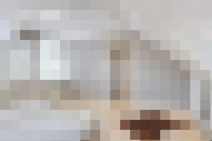 Duivenwaardsedijk 7 Nieuwe-Tonge thumbnail 16