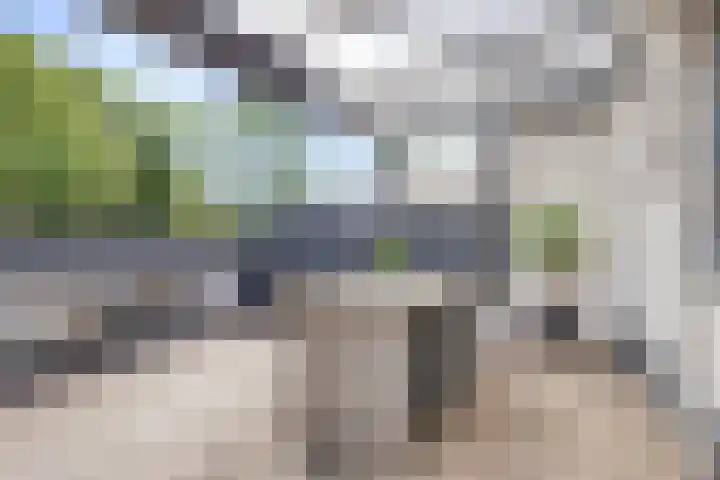 Duivenwaardsedijk 7 Nieuwe-Tonge thumbnail 18