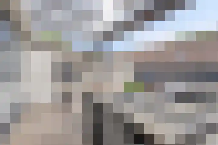 Duivenwaardsedijk 7 Nieuwe-Tonge thumbnail 19