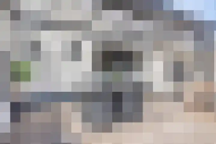 Duivenwaardsedijk 7 Nieuwe-Tonge thumbnail 20