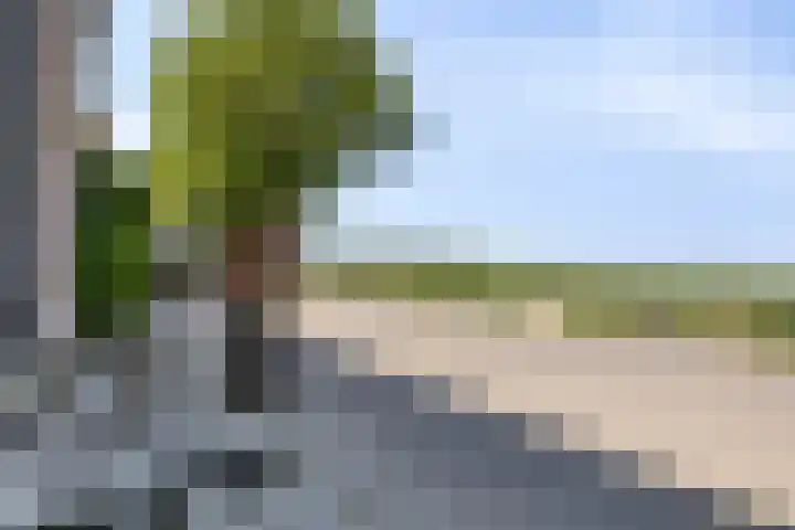 Duivenwaardsedijk 7 Nieuwe-Tonge thumbnail 23