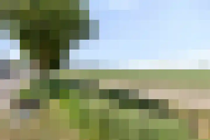 Duivenwaardsedijk 7 Nieuwe-Tonge thumbnail 24