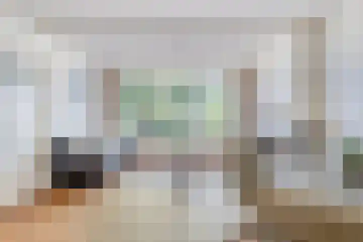 Duivenwaardsedijk 7 Nieuwe-Tonge thumbnail 4