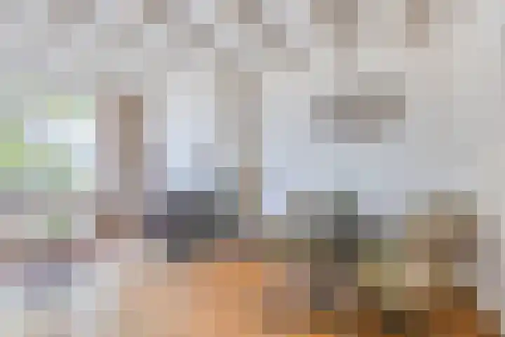Duivenwaardsedijk 7 Nieuwe-Tonge thumbnail 5
