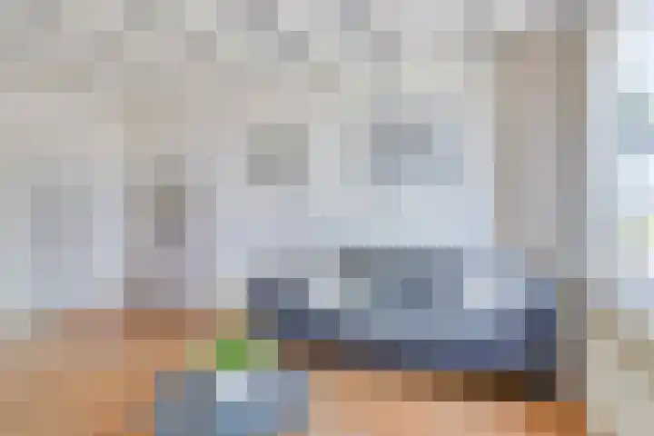 Duivenwaardsedijk 7 Nieuwe-Tonge thumbnail 6