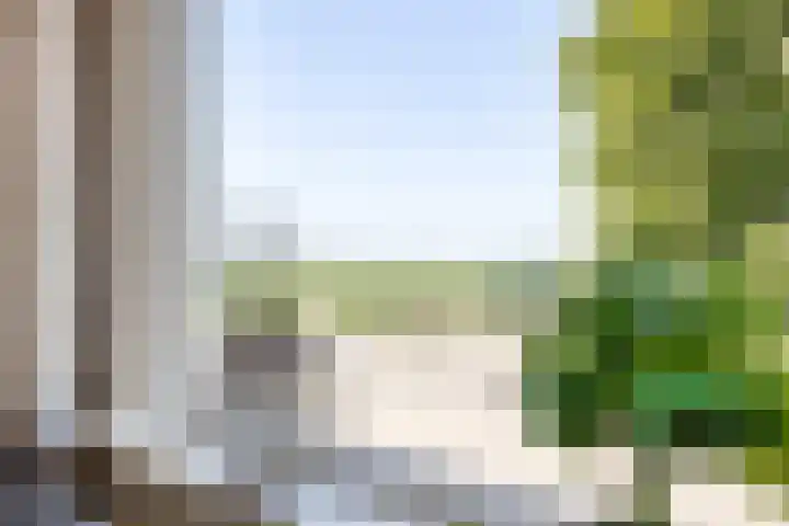 Duivenwaardsedijk 7 Nieuwe-Tonge thumbnail 7