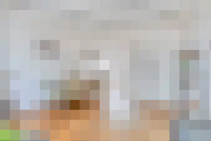 Duivenwaardsedijk 7 Nieuwe-Tonge thumbnail 9