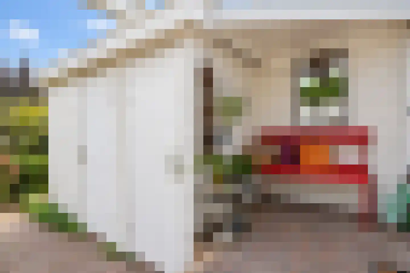 Duivesteijnstraat 4 Voorburg thumbnail 23