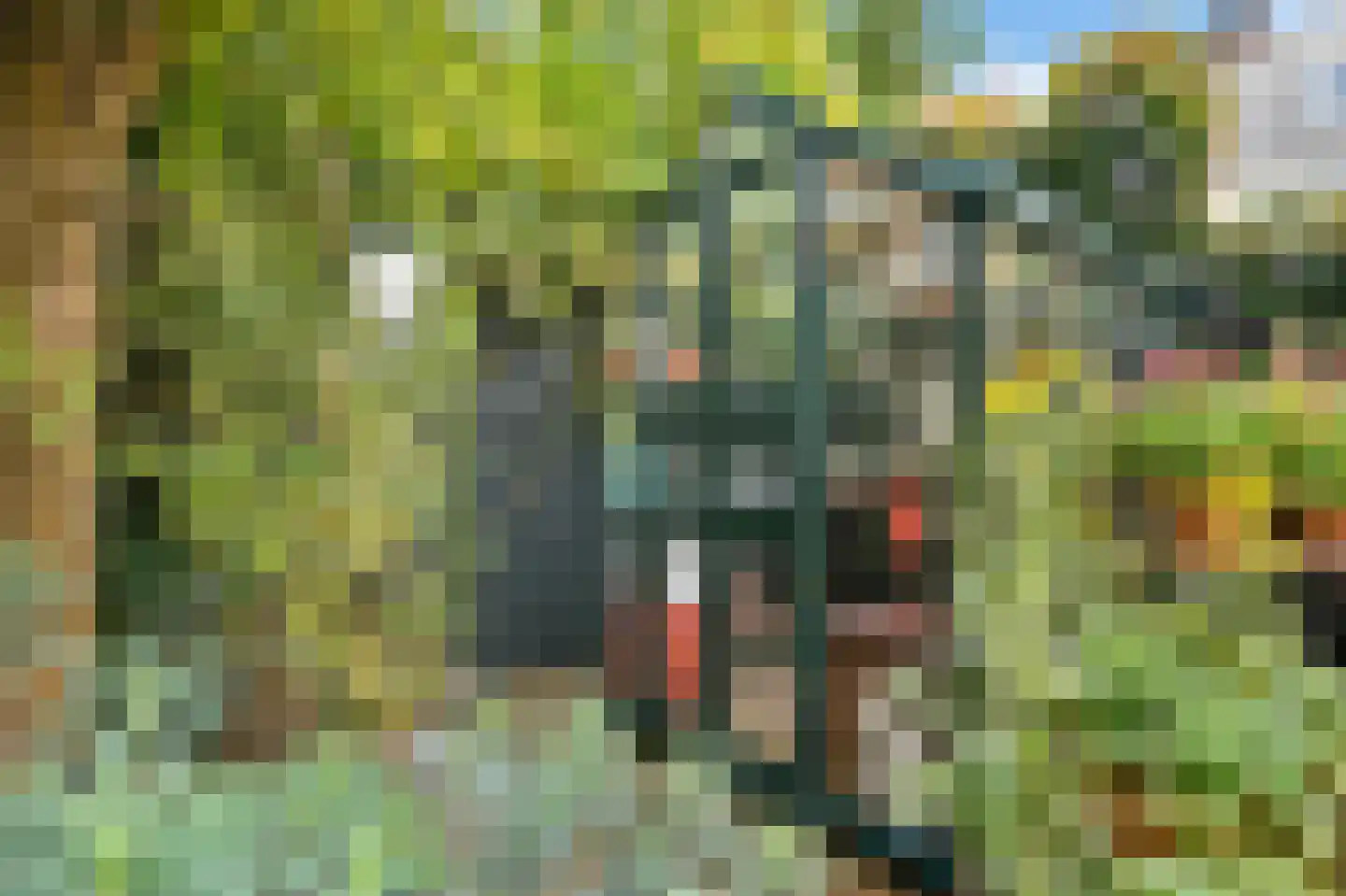 Duivesteijnstraat 4 Voorburg thumbnail 27
