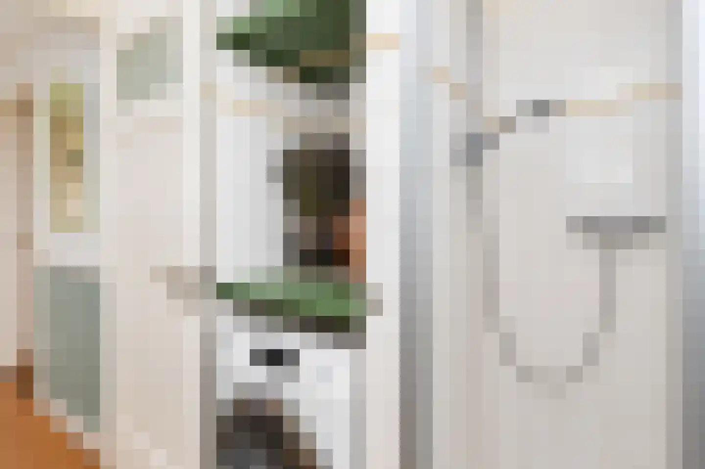 Duivesteijnstraat 4 Voorburg thumbnail 52