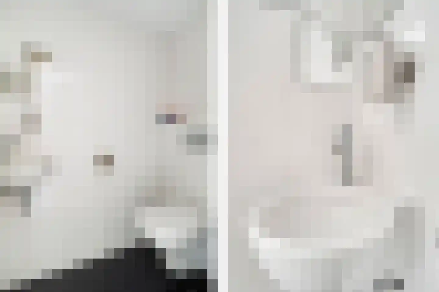 Duivestein 1 Pijnacker thumbnail 11