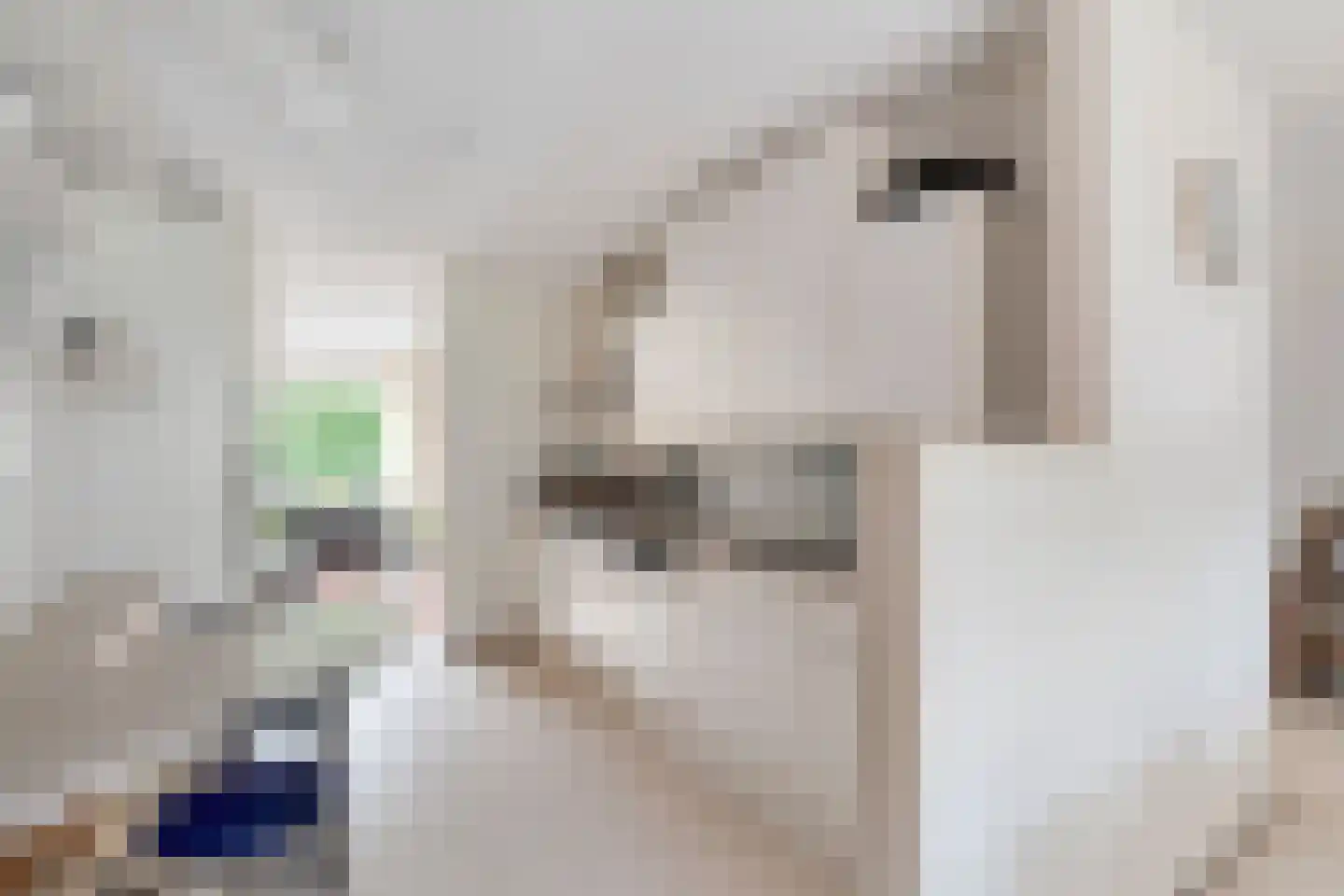 Duivestein 1 Pijnacker thumbnail 16