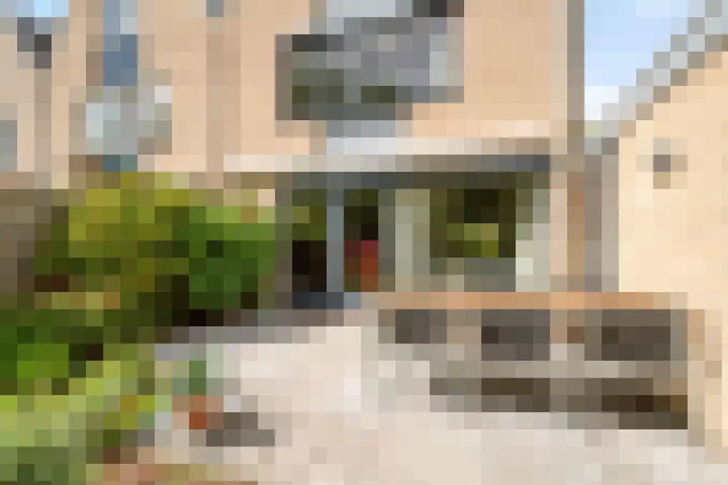Duivestein 1 Pijnacker thumbnail 21