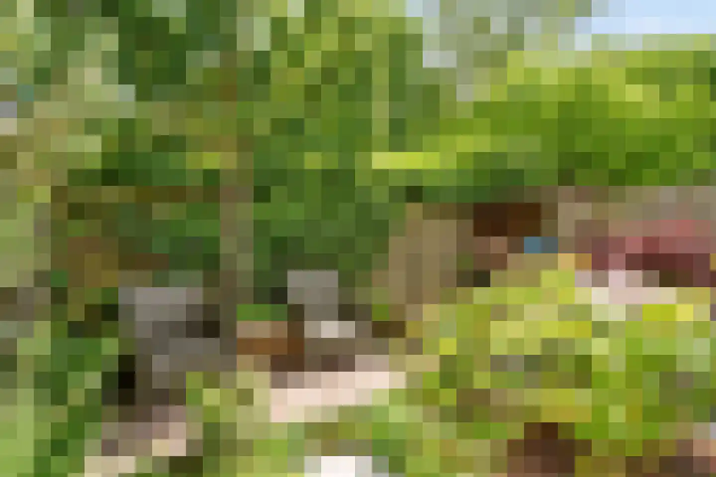 Duivestein 1 Pijnacker thumbnail 22