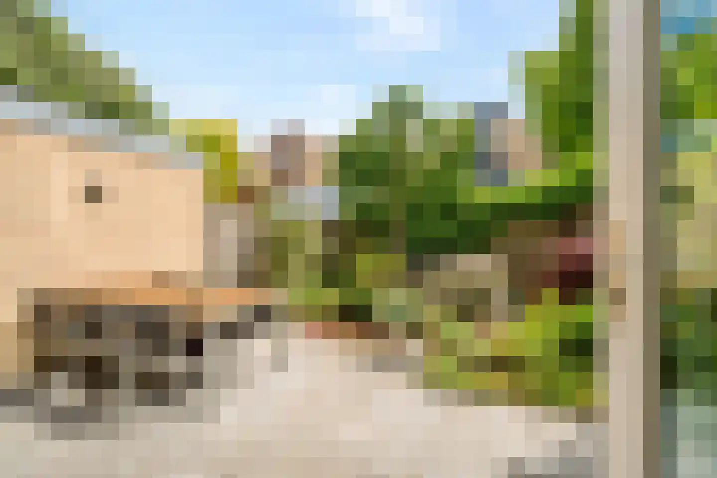 Duivestein 1 Pijnacker thumbnail 23