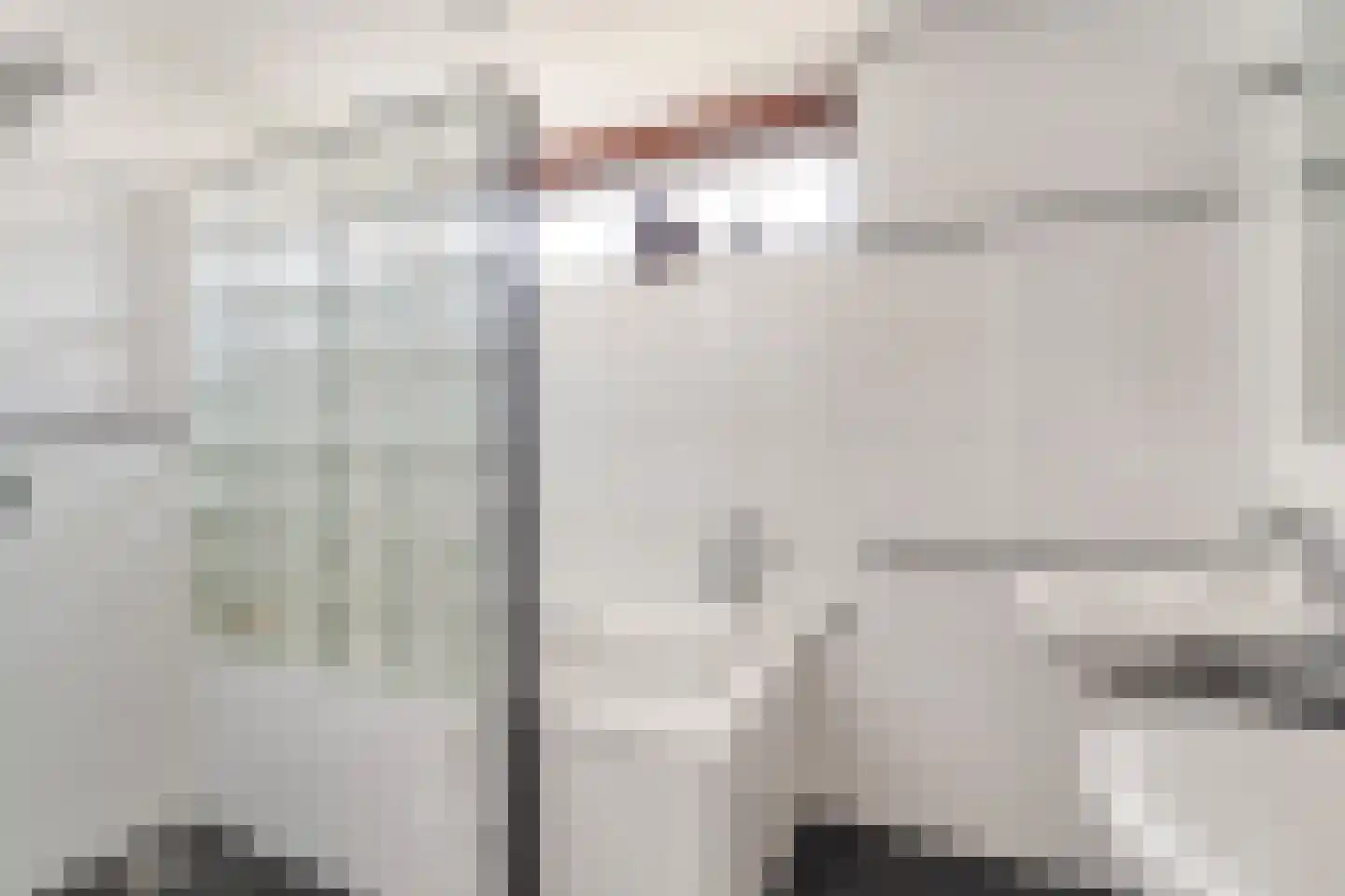 Duivestein 1 Pijnacker thumbnail 26
