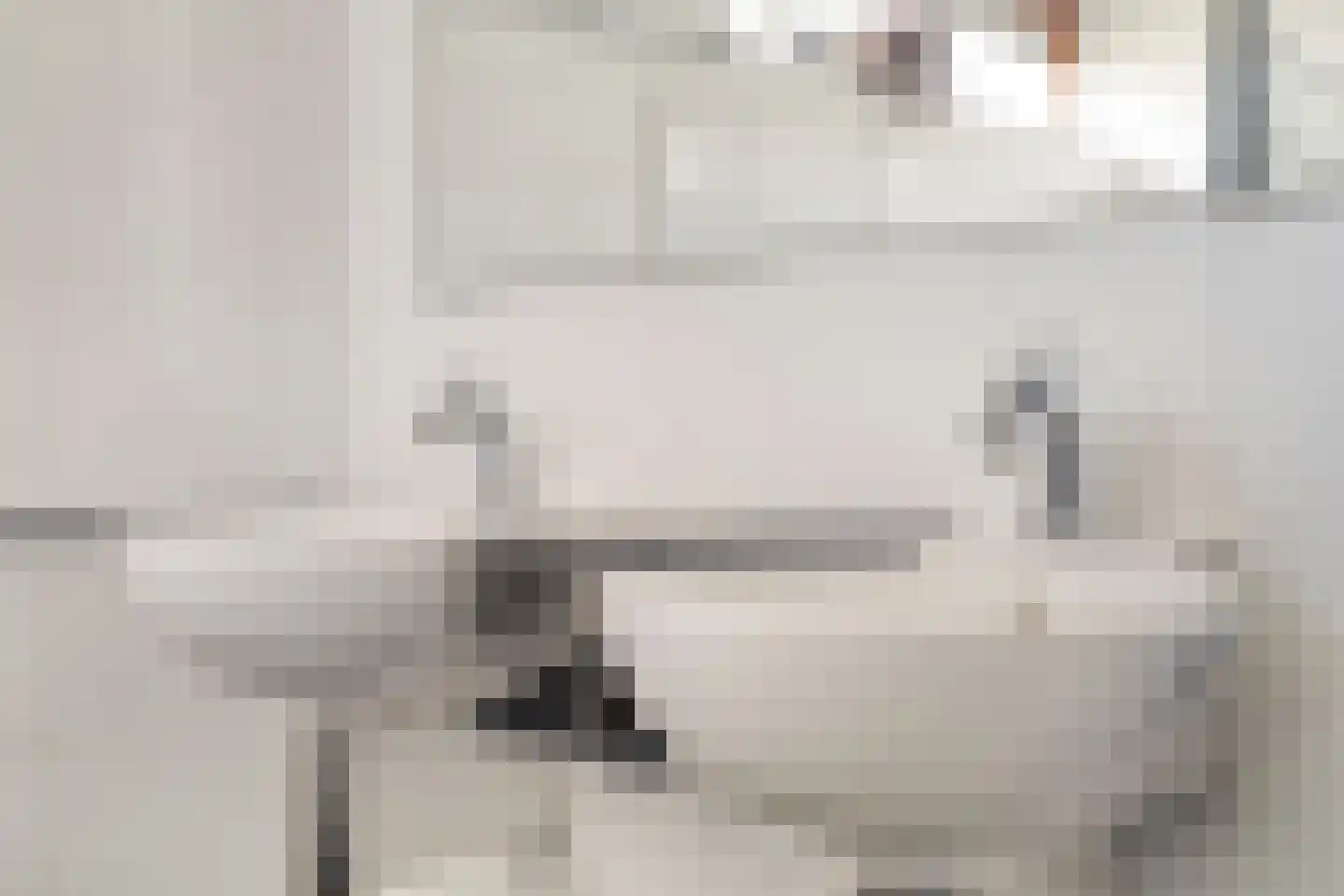 Duivestein 1 Pijnacker thumbnail 27