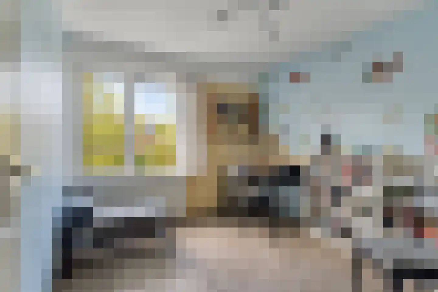 Duivestein 1 Pijnacker thumbnail 30