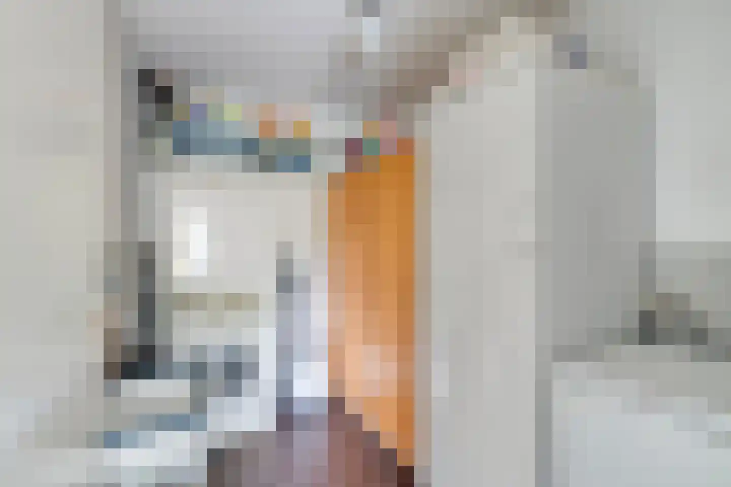 Duivestein 1 Pijnacker thumbnail 33