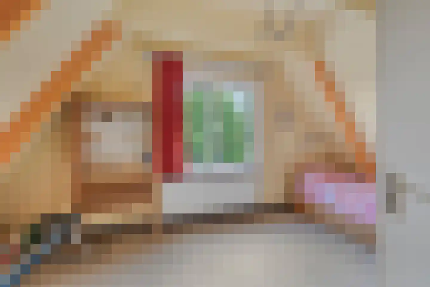 Duivestein 1 Pijnacker thumbnail 34
