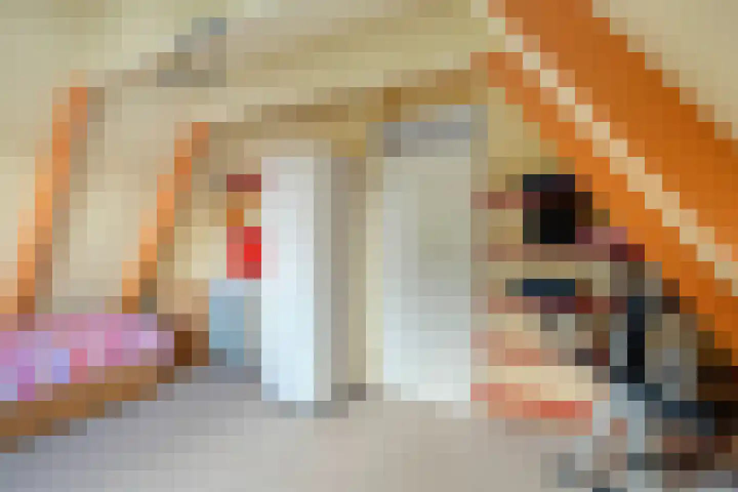 Duivestein 1 Pijnacker thumbnail 35