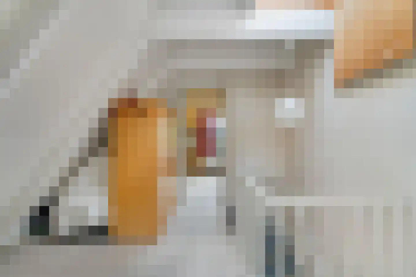Duivestein 1 Pijnacker thumbnail 36