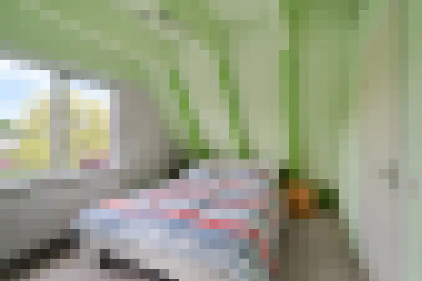Duivestein 1 Pijnacker thumbnail 37