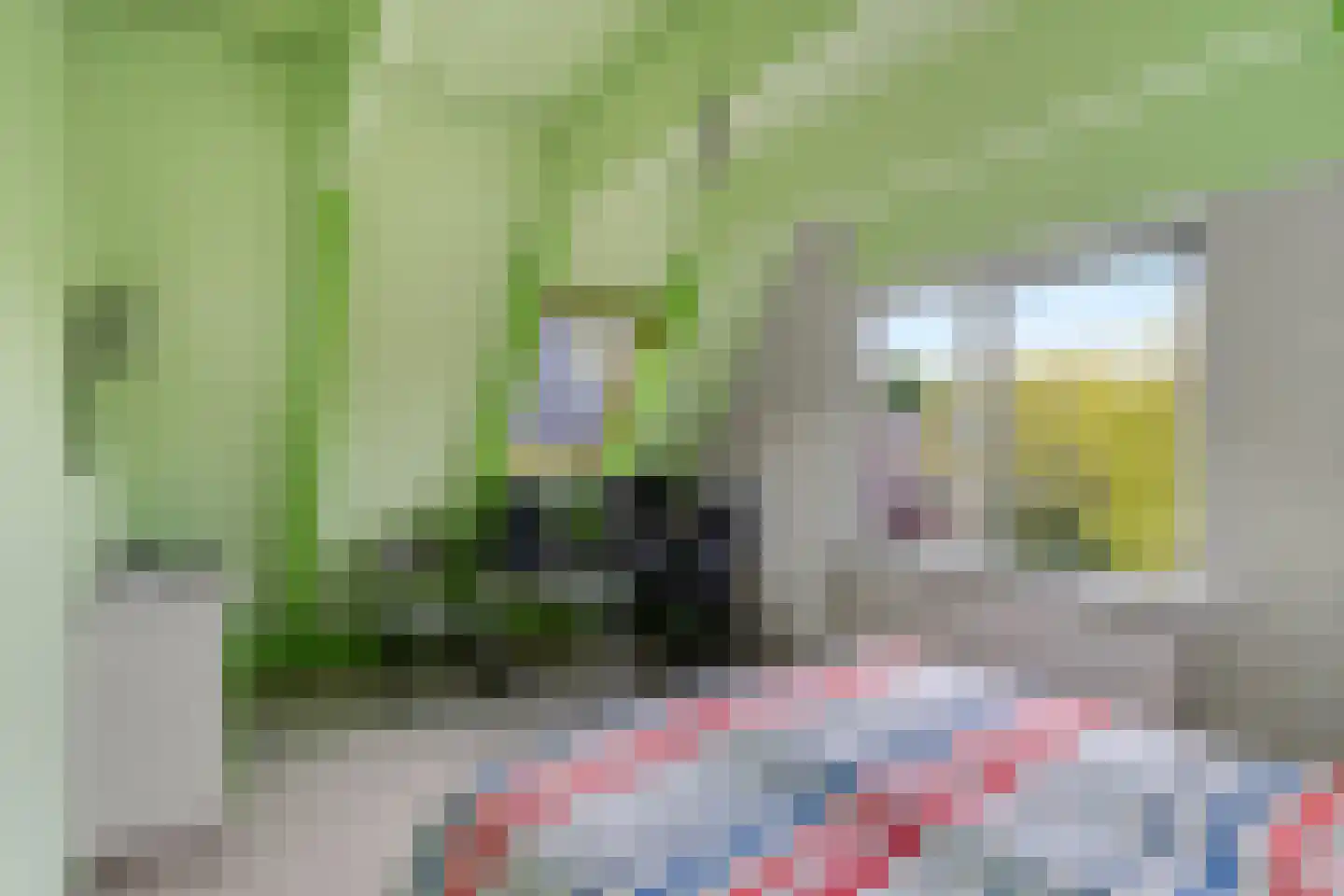 Duivestein 1 Pijnacker thumbnail 38