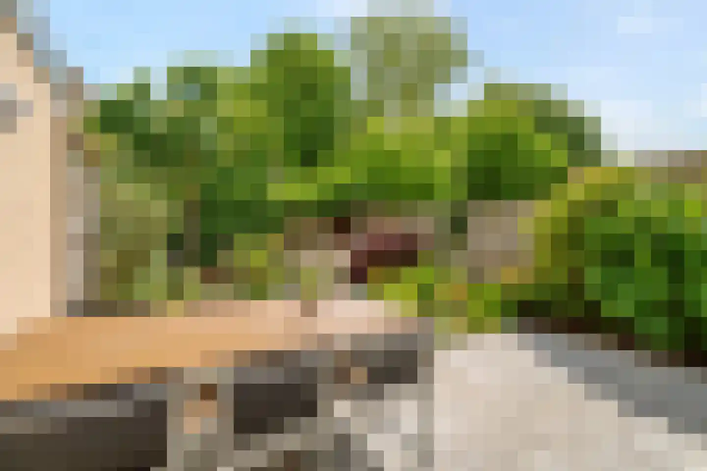 Duivestein 1 Pijnacker thumbnail 4